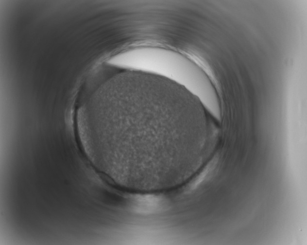 X0000089760389200707051837