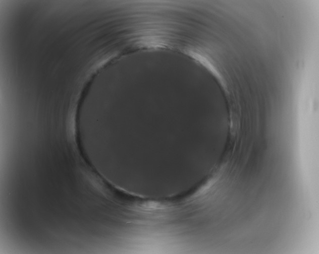 X0000089760390200707051837