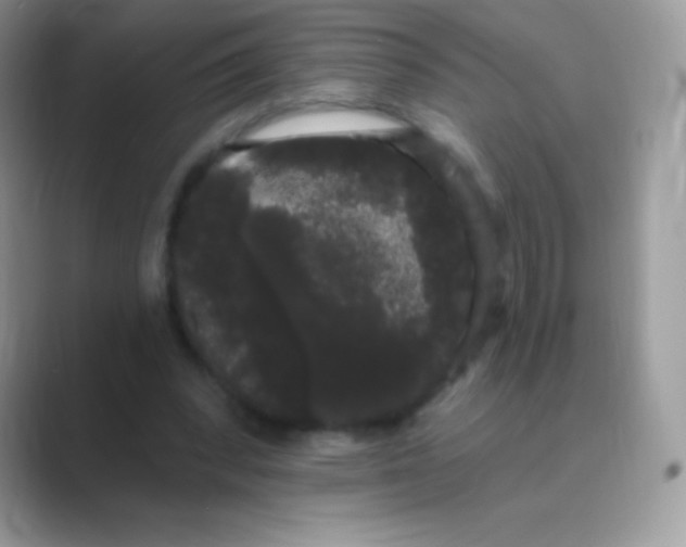 X0000089760392200707051837