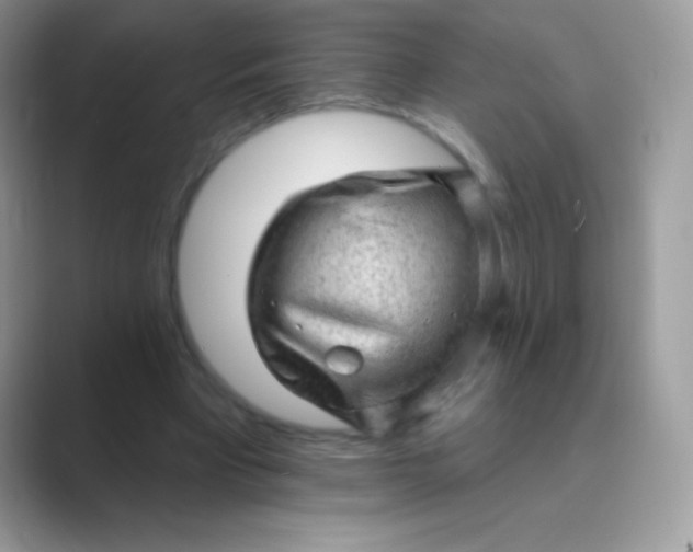 X0000089760393200707051837