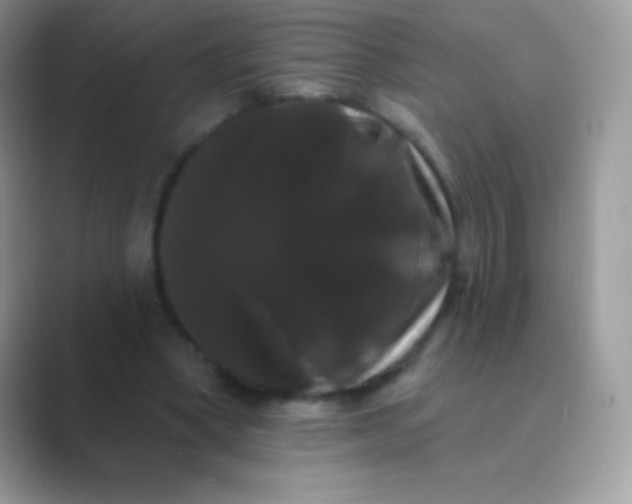 X0000089760394200707051837