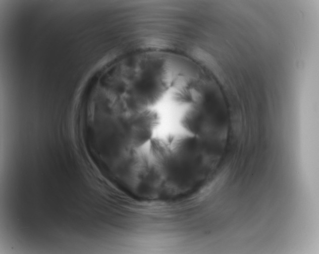 X0000089760395200707051837