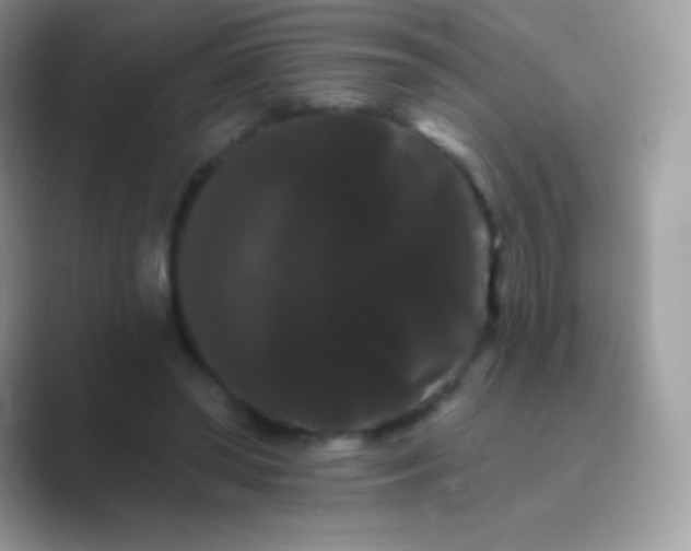 X0000089760398200707051837