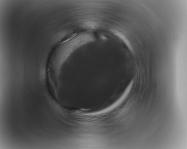 X0000089760399200707051837