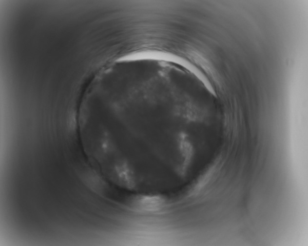 X0000089760401200707051837