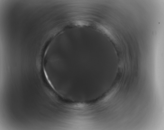 X0000089760402200707051837