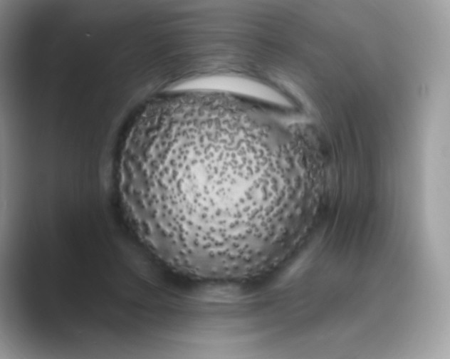 X0000089760403200707051837