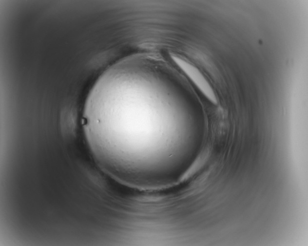 X0000089760404200707051837