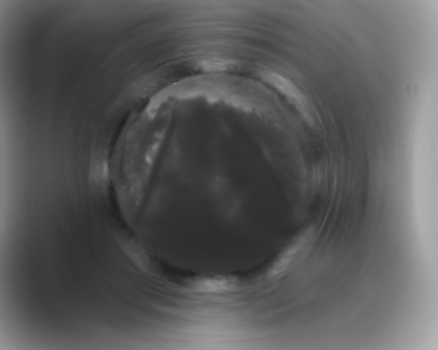 X0000089760405200707051837