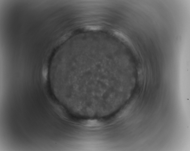 X0000089760406200707051837