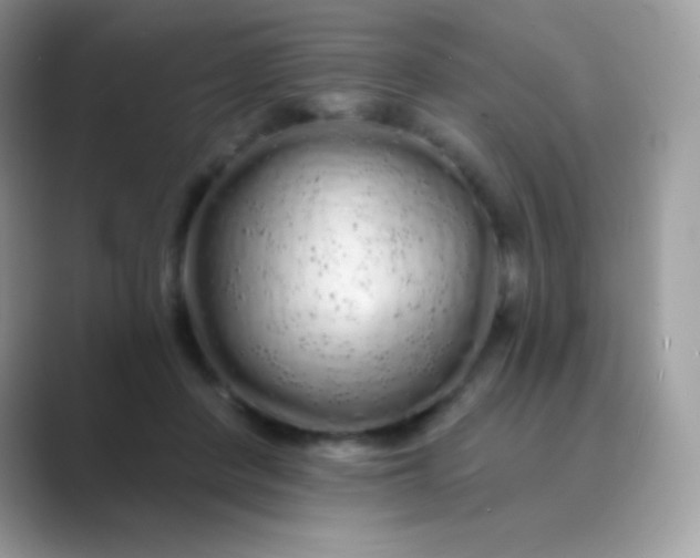 X0000089760408200707051837