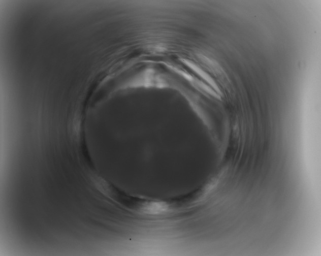 X0000089760409200707051837