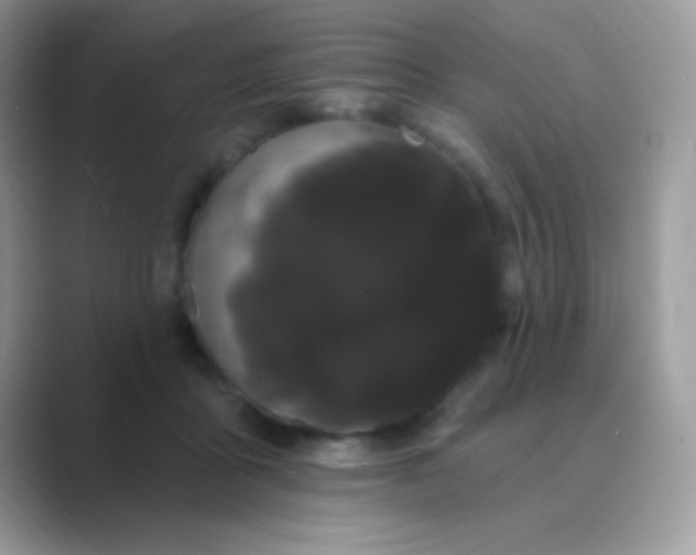 X0000089760411200707051837