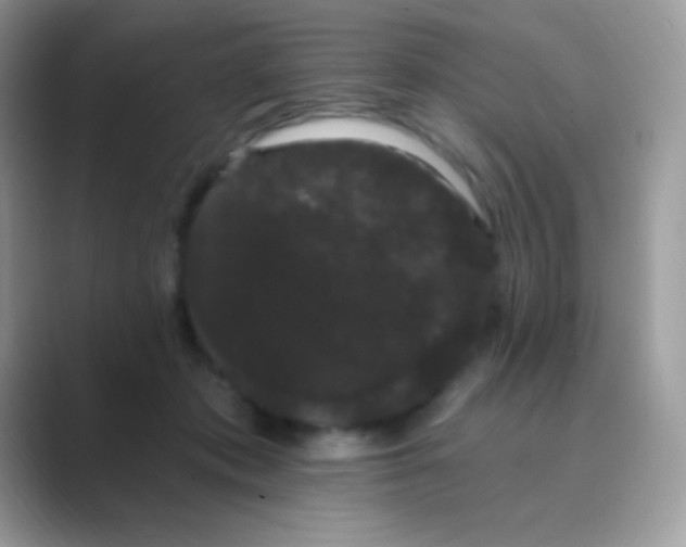 X0000089760413200707051837