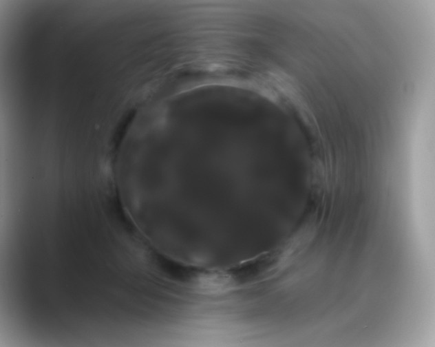 X0000089760415200707051837