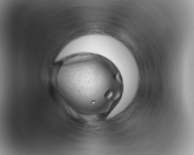 X0000089760417200707051837