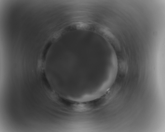 X0000089760419200707051837