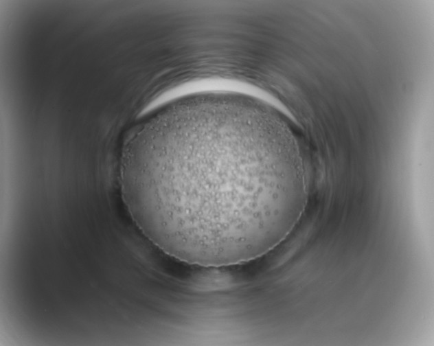 X0000089760421200707051836