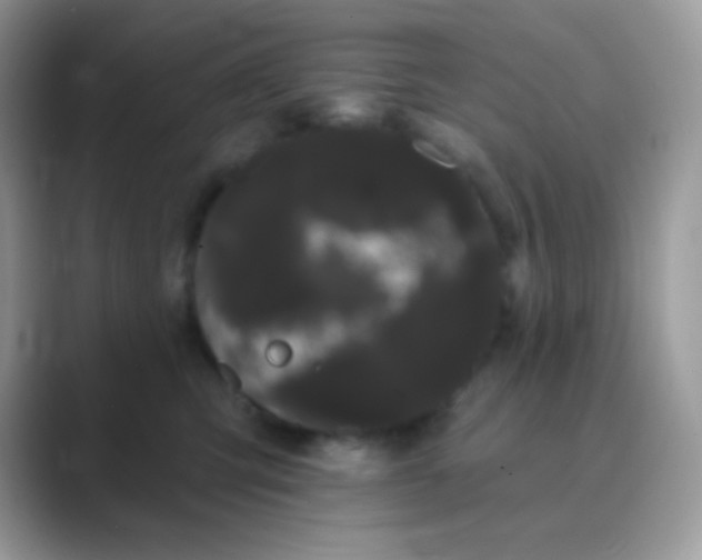 X0000089760423200707051836