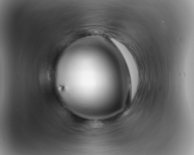 X0000089760424200707051836