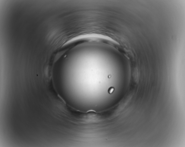 X0000089760428200707051836