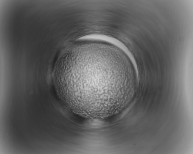 X0000089760429200707051836