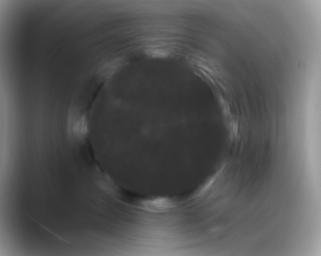 X0000089760431200707051836