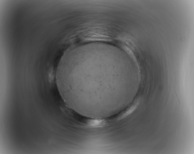 X0000089760432200707051836