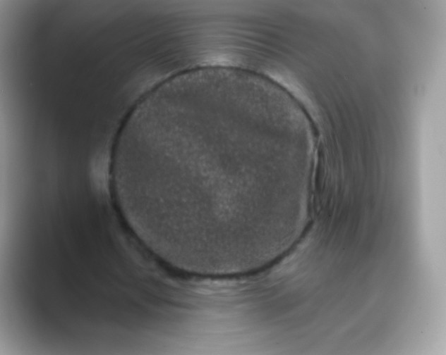 X0000089760434200707051836