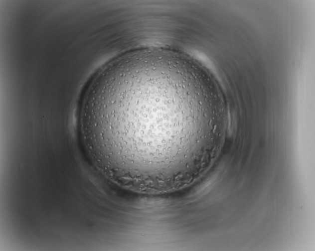 X0000089760435200707051836