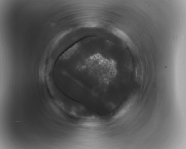 X0000089760436200707051836