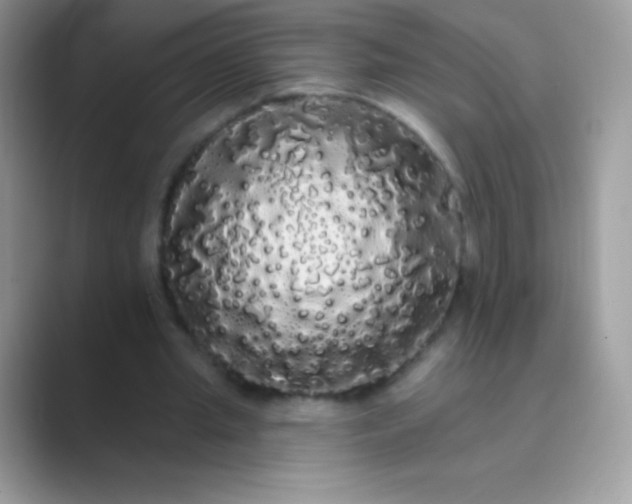 X0000089760437200707051836