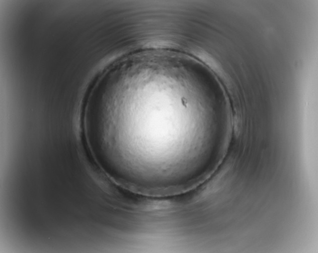 X0000089760438200707051836