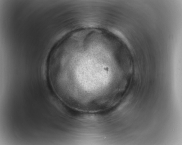 X0000089760439200707051836