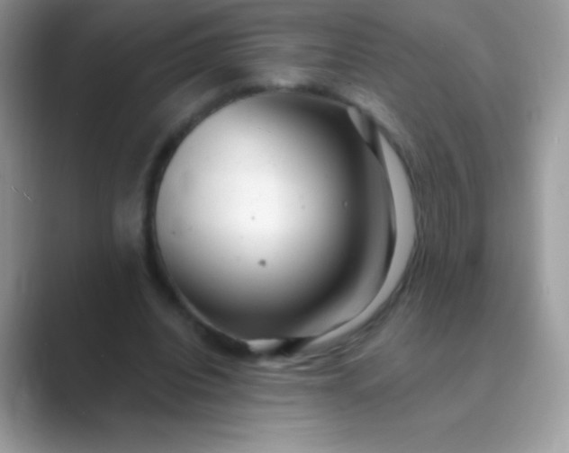 X0000089760440200707051836