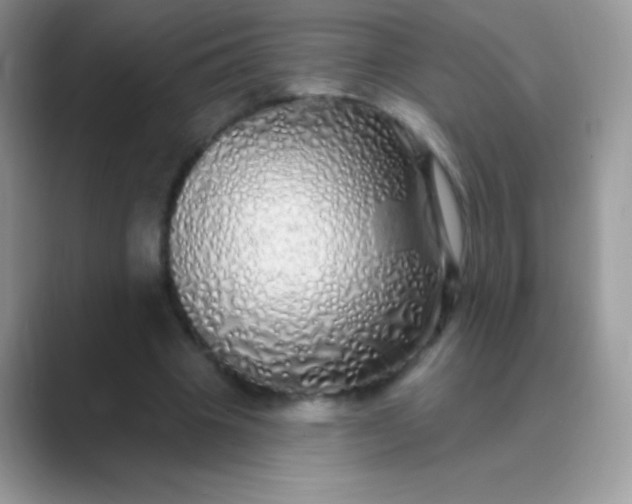 X0000089760441200707051836