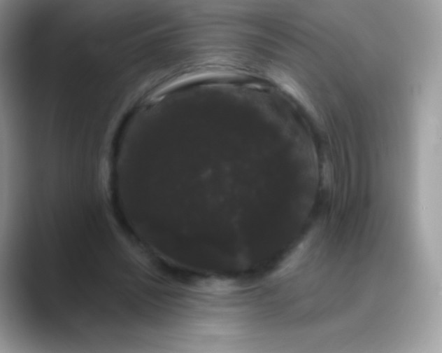 X0000089760444200707051836