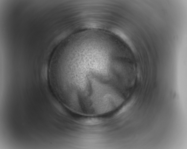 X0000089760445200707051836