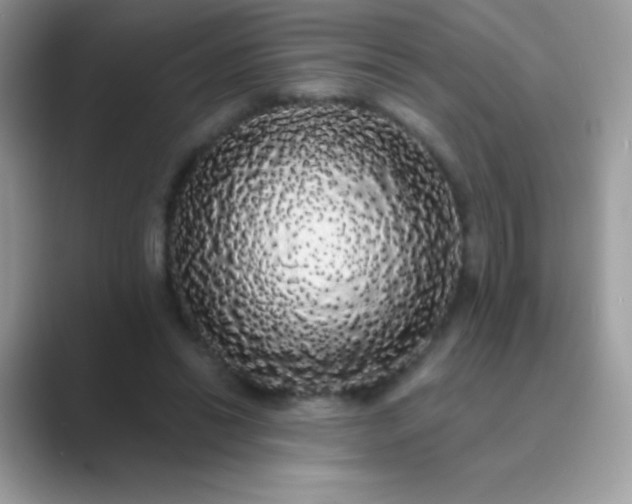 X0000089760446200707051836