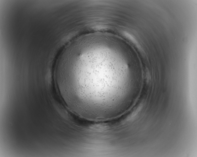 X0000089760447200707051836