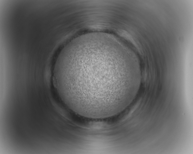 X0000089760448200707051836