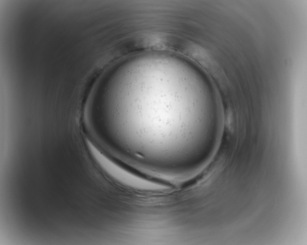 X0000089760449200707051836