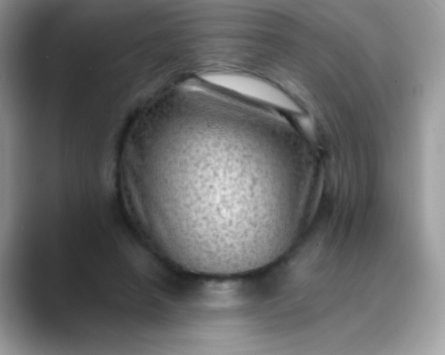 X0000089760450200707051836