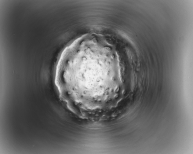 X0000089760451200707051836