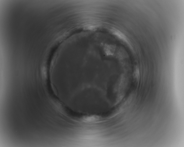 X0000089760452200707051836