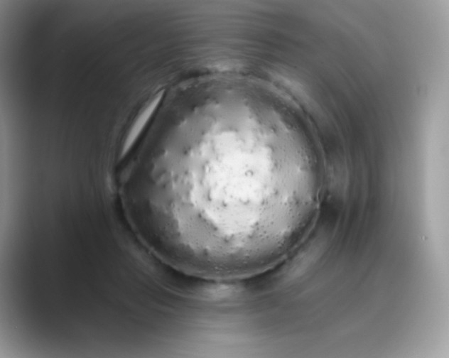 X0000089760453200707051836