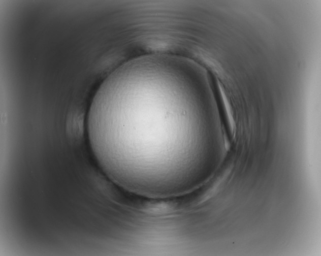 X0000089760454200707051836