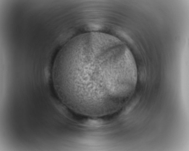 X0000089760455200707051836