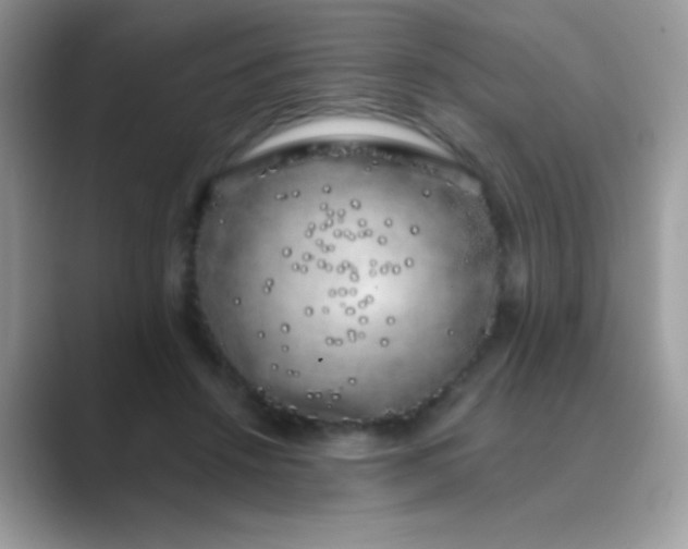 X0000089760456200707051836