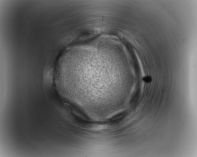 X0000089760458200707051836